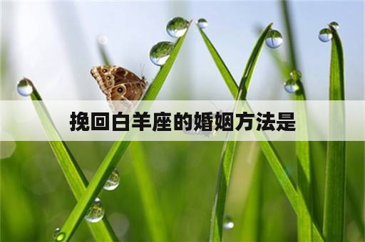 挽回白羊座的婚姻方法是