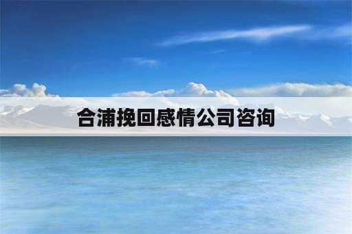 合浦挽回感情公司咨询