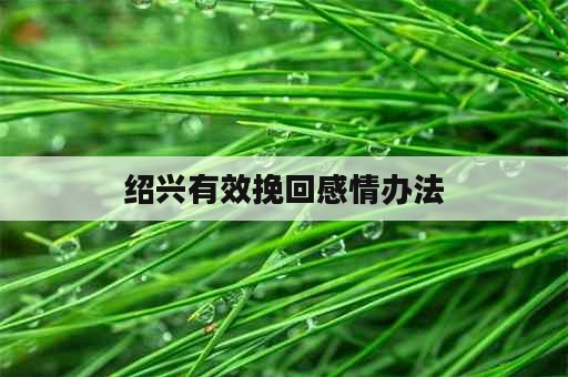 绍兴有效挽回感情办法