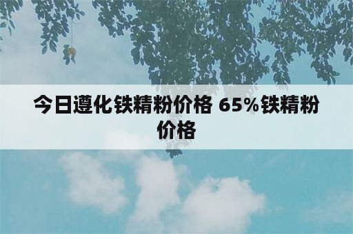 今日遵化铁精粉价格 65%铁精粉价格