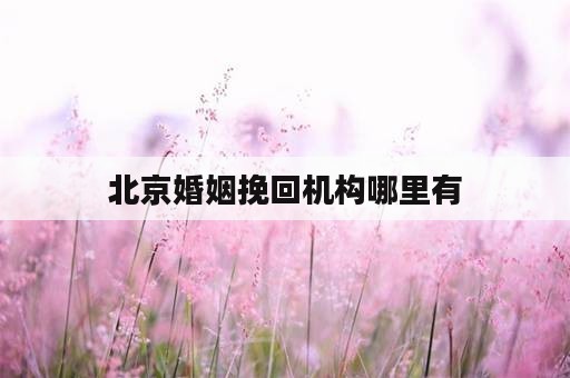 北京婚姻挽回机构哪里有