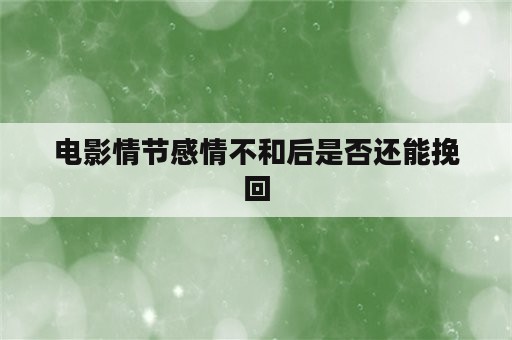 电影情节感情不和后是否还能挽回