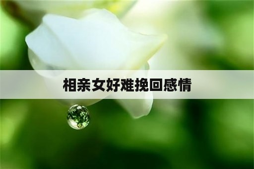 相亲女好难挽回感情