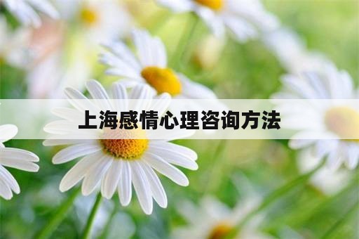 上海感情心理咨询方法