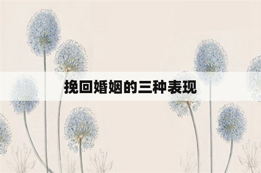 挽回婚姻的三种表现