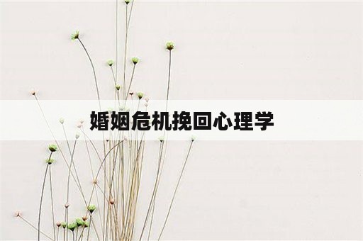 婚姻危机挽回心理学