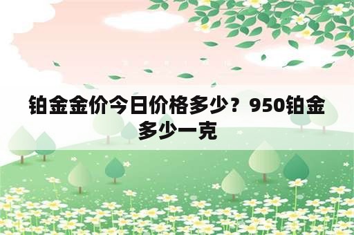 铂金金价今日价格多少？950铂金多少一克