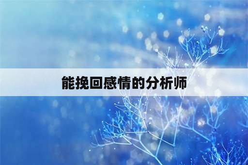 能挽回感情的分析师