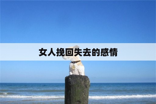 女人挽回失去的感情