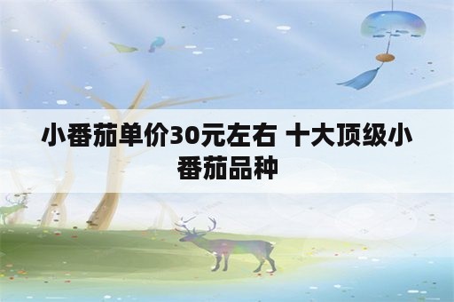 小番茄单价30元左右 十大顶级小番茄品种