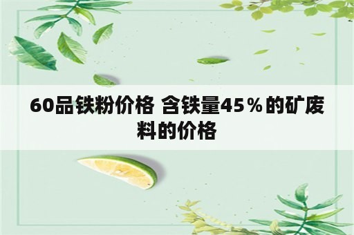 60品铁粉价格 含铁量45％的矿废料的价格