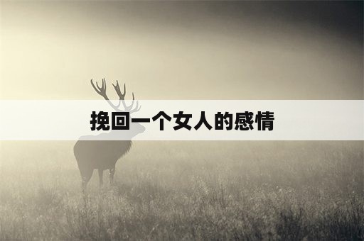 挽回一个女人的感情