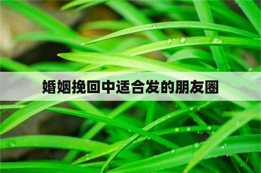 婚姻挽回中适合发的朋友圈