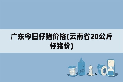 广东今日仔猪价格(云南省20公斤仔猪价)