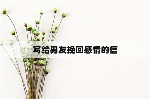 写给男友挽回感情的信