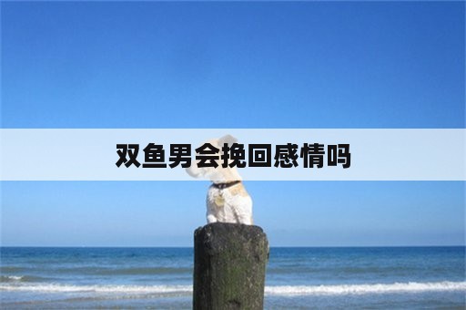 双鱼男会挽回感情吗