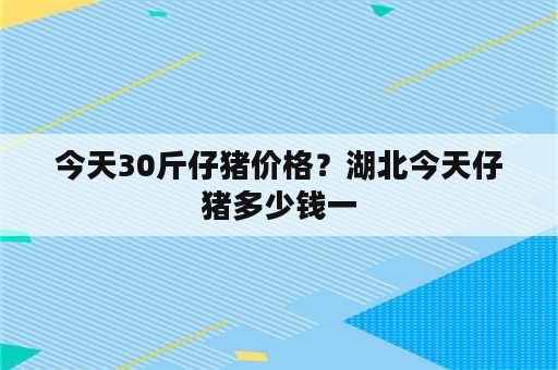 今天30斤仔猪价格？湖北今天仔猪多少钱一