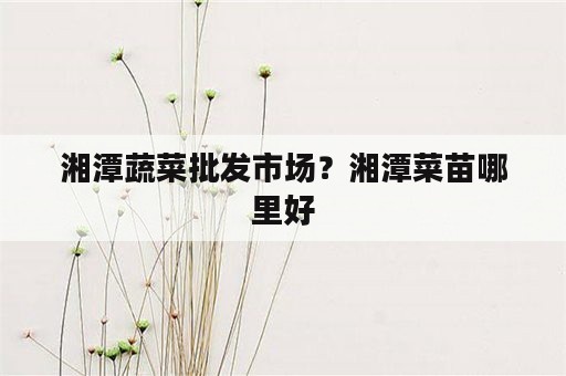 湘潭蔬菜批发市场？湘潭菜苗哪里好