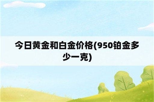 今日黄金和白金价格(950铂金多少一克)