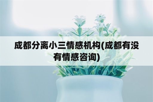 成都分离小三情感机构(成都有没有情感咨询)