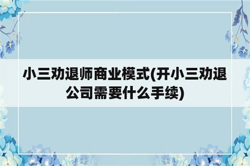 小三劝退师商业模式(开小三劝退公司需要什么手续)