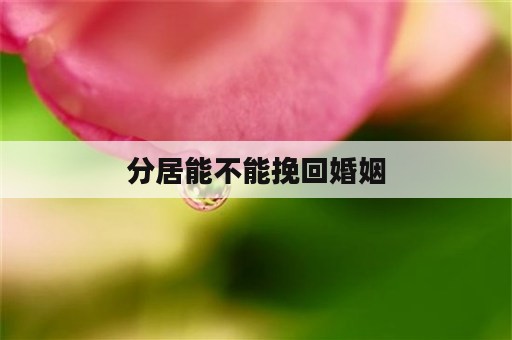 分居能不能挽回婚姻