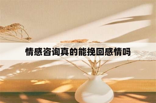 情感咨询真的能挽回感情吗