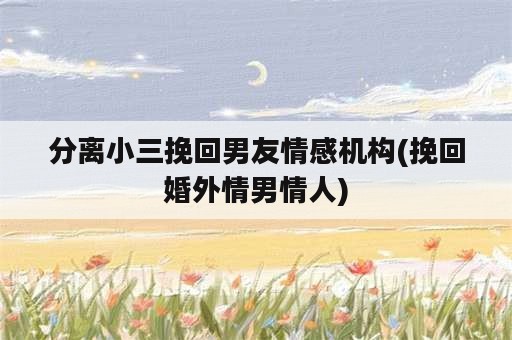 分离小三挽回男友情感机构(挽回婚外情男情人)