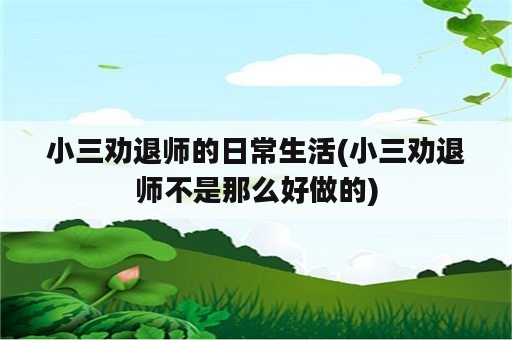 小三劝退师的日常生活(小三劝退师不是那么好做的)