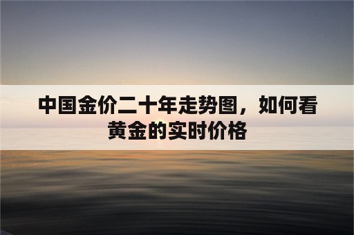 中国金价二十年走势图，如何看黄金的实时价格