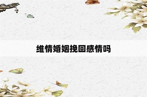 维情婚姻挽回感情吗