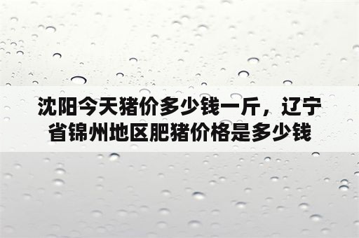 沈阳今天猪价多少钱一斤，辽宁省锦州地区肥猪价格是多少钱