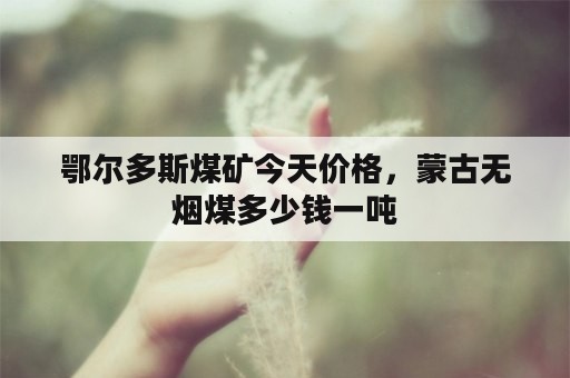 鄂尔多斯煤矿今天价格，蒙古无烟煤多少钱一吨