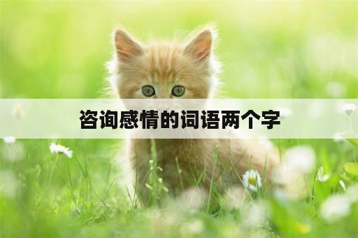 咨询感情的词语两个字