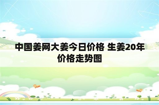 中国姜网大姜今日价格 生姜20年价格走势图