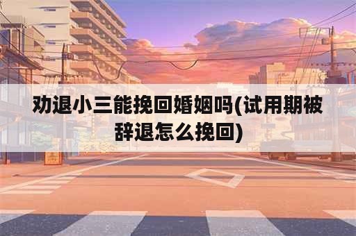 劝退小三能挽回婚姻吗(试用期被辞退怎么挽回)