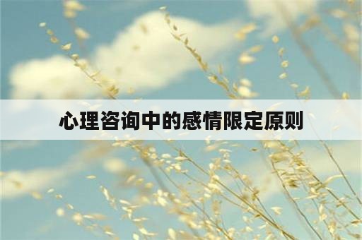 心理咨询中的感情限定原则