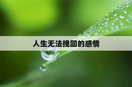 人生无法挽回的感情