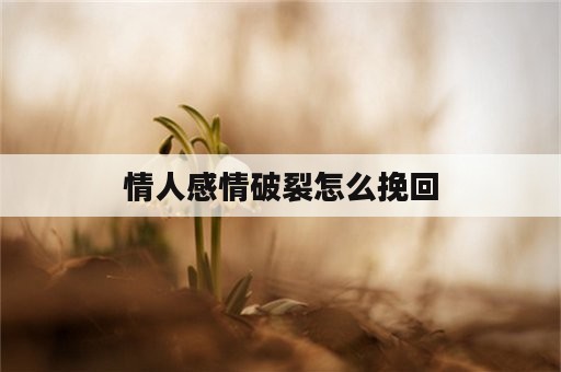 情人感情破裂怎么挽回