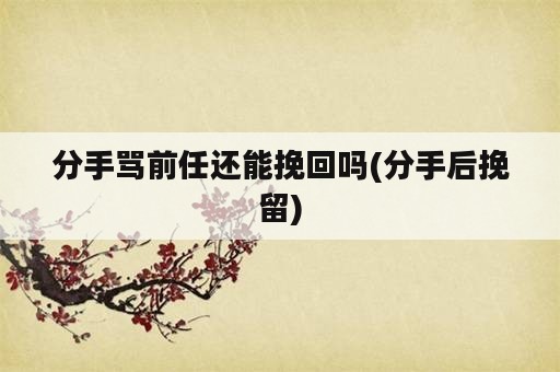 分手骂前任还能挽回吗(分手后挽留)