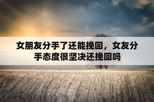 女朋友分手了还能挽回，女友分手态度很坚决还挽回吗