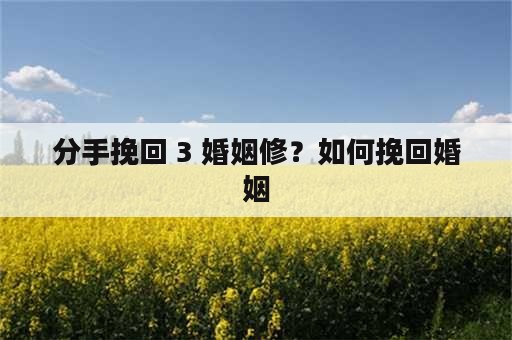 分手挽回 3 婚姻修？如何挽回婚姻