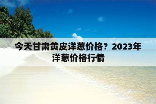 今天甘肃黄皮洋葱价格？2023年洋葱价格行情