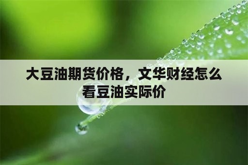 大豆油期货价格，文华财经怎么看豆油实际价