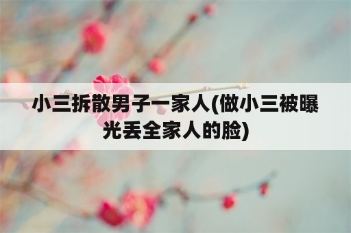 小三拆散男子一家人(做小三被曝光丢全家人的脸)