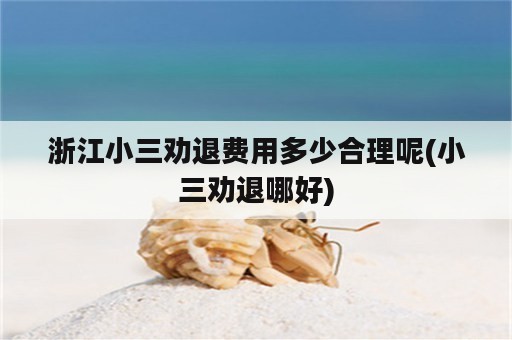 浙江小三劝退费用多少合理呢(小三劝退哪好)