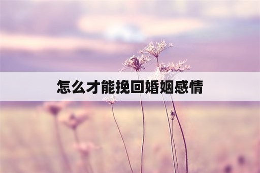 怎么才能挽回婚姻感情