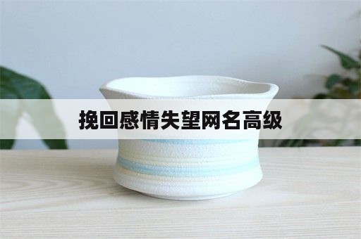 挽回感情失望网名高级