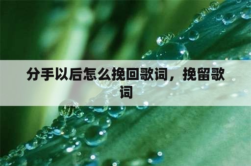 分手以后怎么挽回歌词，挽留歌词