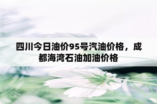 四川今日油价95号汽油价格，成都海湾石油加油价格